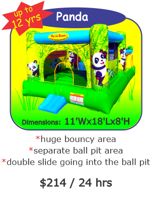 Panda Bouncer