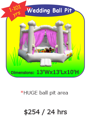 Wedding Ball Pit